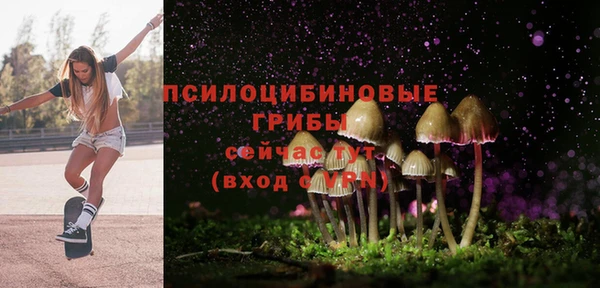 MESCALINE Нязепетровск