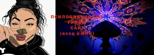 МДМА Няндома